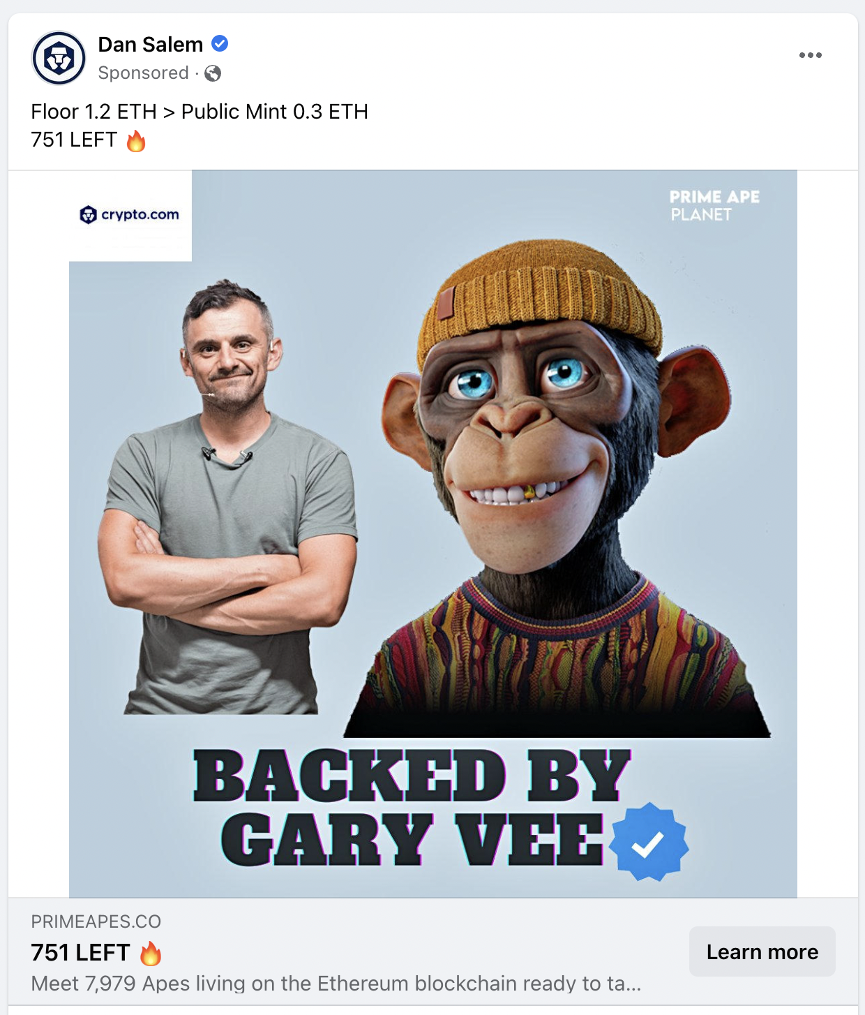 Fake NFT ADs: Snoop Dogg, Gary Vee, Invisible Friends, Mutant Apes, and more...